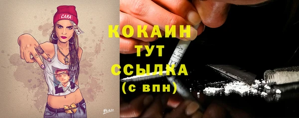 mix Богородск
