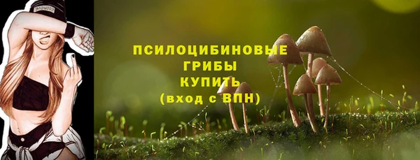 не бодяженный Белокуриха